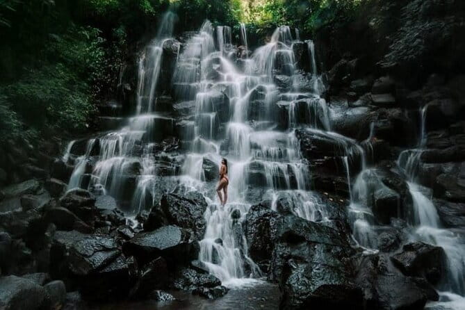 Bali Ubud Tour Monkey Forest, Waterfall, Temple & Rice Terrace - Morning among the macaques at Sacred Monkey Forest