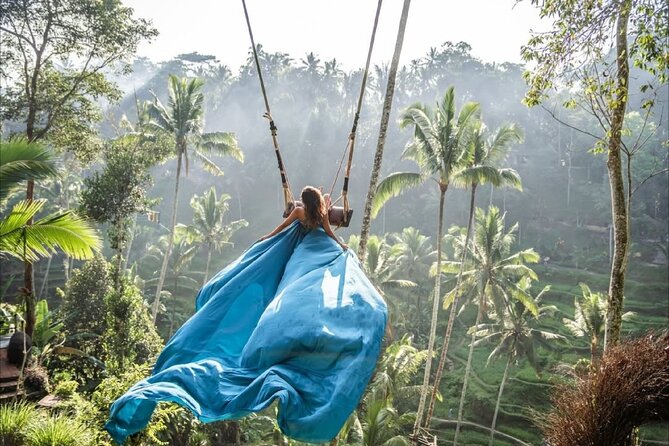 Bali Ubud Zipline Jungle Swing and Waterfall Tour - Tegalalang rice fields and the Ubud view