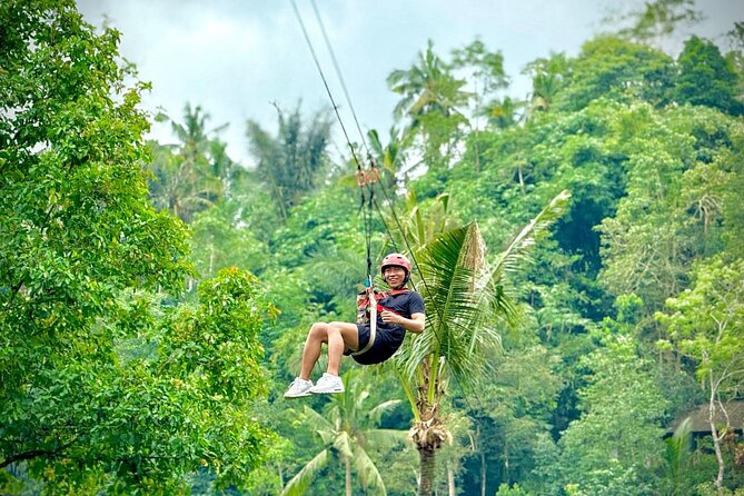 Bali Ubud Zipline, Monkey Forest and Waterfall Adventure - Lunch, tickets, and the real cost
