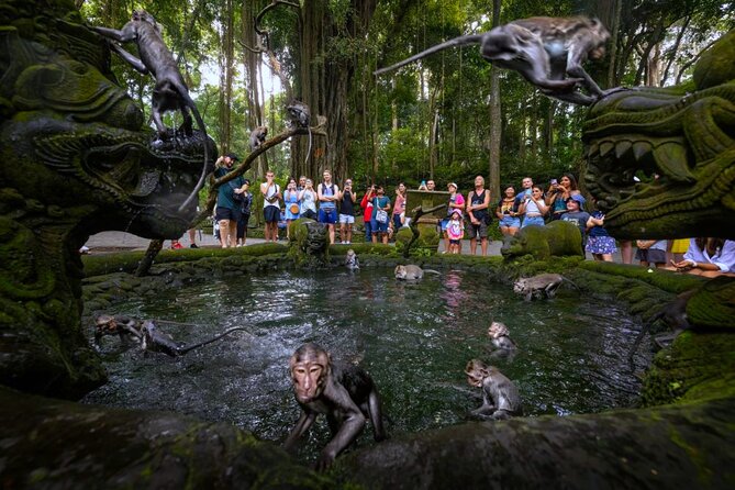 Bali Ubud Zipline, Monkey Forest and Waterfall Adventure - Should you book the zipline and waterfall tour?