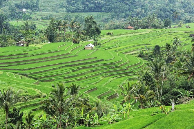 Bali UNESCO Sites: Water Temples and Jatiluwih Rice Terrace Tour - Jatiluwih Rice Terraces and the subak system