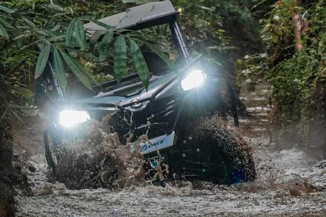 Bali UTV-BUGGY Wild Drive With Lunch at Cretya Sunset - What happens at Alasan Adventures
