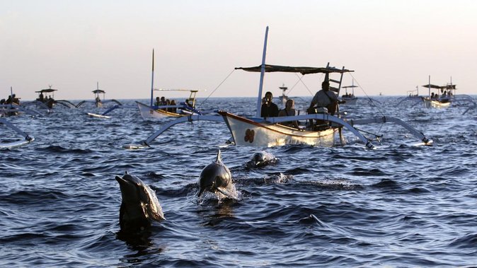 Bali Watching Dolphin at Lovina Beach & aling aling waterfall - Why this North Bali day is worth the early alarm