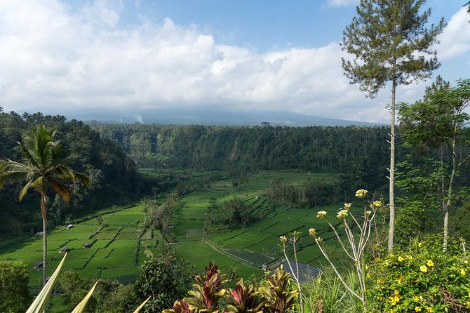 Bali Waterfalls and Temples Tour - Goa Raja Waterfall and its forest swimming area
