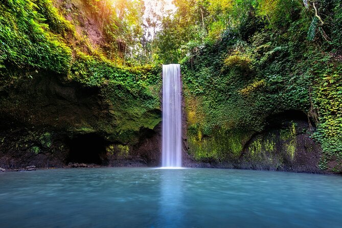 Bali Waterfalls Private Day Tour - Lunch among Bali’s rice fields
