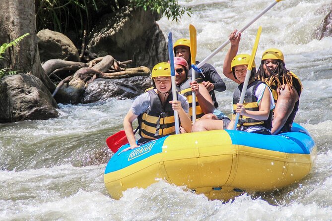 Bali White Water Rafting Adventure at Ayung River Bali - Who Will Enjoy This Rafting Day