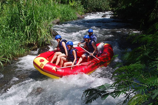 Bali White Water Rafting at Telaga Waja River - Two hours of rapids, jungle, and rice paddies