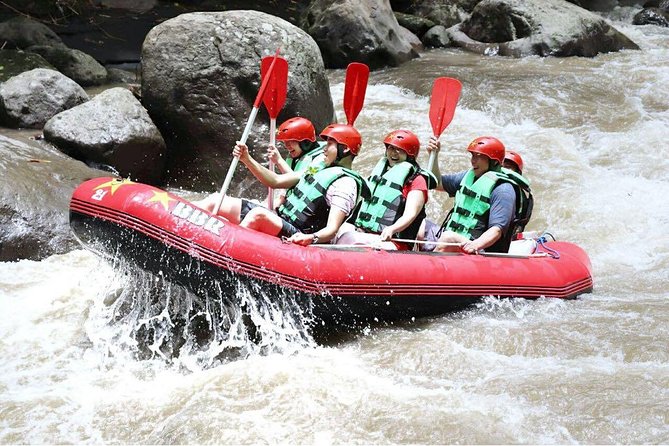 Bali White Water Rafting - Infinity - Jungle, waterfalls, and Grade II to III rapids