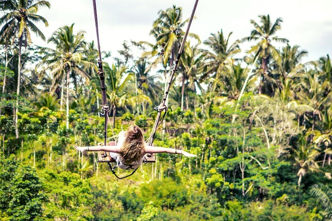 Bali White Water Rafting with Sacred Monkey Forest and Swing - Sangeh Monkey Forest among old nutmeg trees