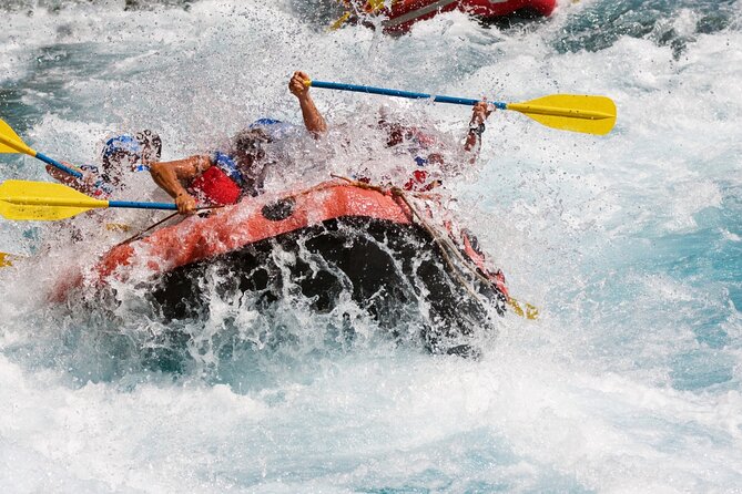 Bali White Water Rafting with Sacred Monkey Forest and Swing - Why the private car and driver matter