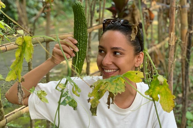 Balinese Authentic Cooking Class in Ubud - What the $39.71 price gets you