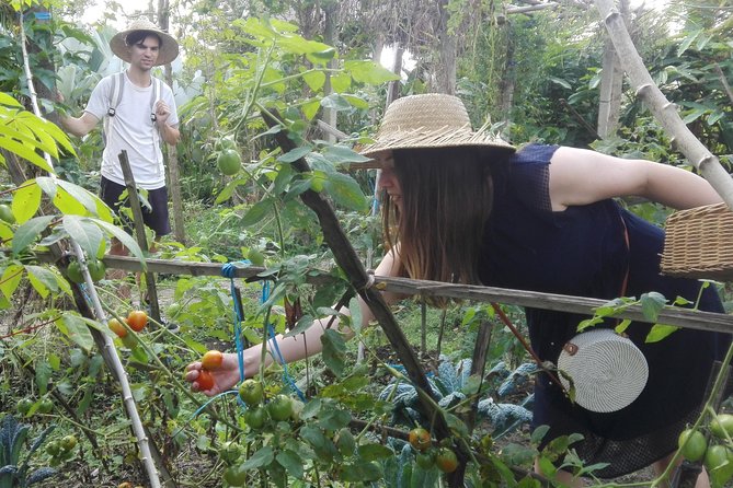 Balinese Cooking Class at Organic Farm - Drinks that stretch through the morning