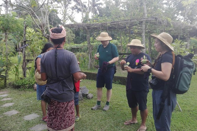 Balinese Cooking Class at Organic Farm - Why the community mission adds value