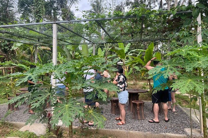 Balinese Cooking Class with Traditional Market Tour - What the six-hour schedule really means