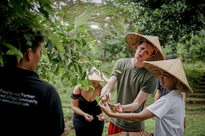 Balinese Farm Cooking Class by Pemulan Bali - From Central Ubud to a Farm Kitchen