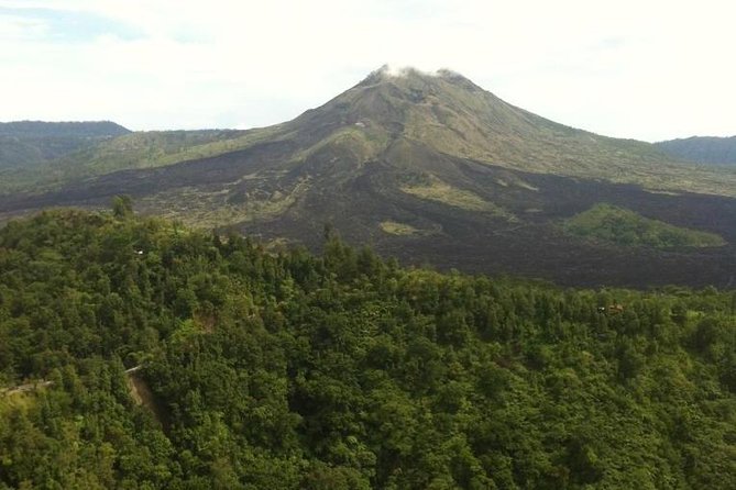 Balinese Life Style Tour - Why this private Ubud route works well