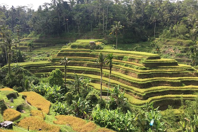 Balinese Life Style Tour - What the $74 price really covers