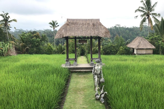 Balinese Life Style Tour - Who should book this experience?
