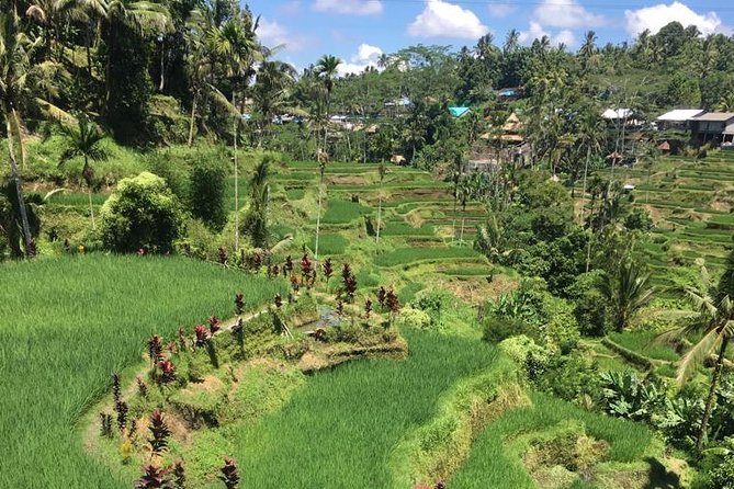 Balinese Life Style Tour - Gunung Kawi Sebatu Temple and its holy springs