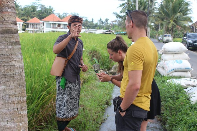 Balinese Ubud cooking school (9 Dish Cooking and Market Tour) - Afternoon class or morning class?