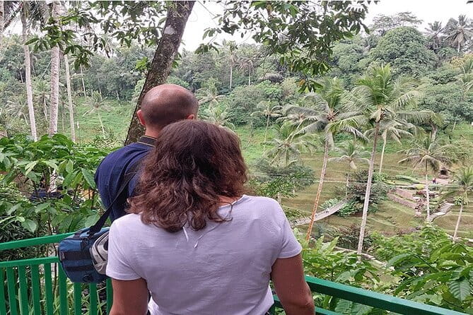 Banyumala Waterfall, Jatiluwih, Ulun Danu and Tanah Lot tours - Is $70 good value from Seminyak?