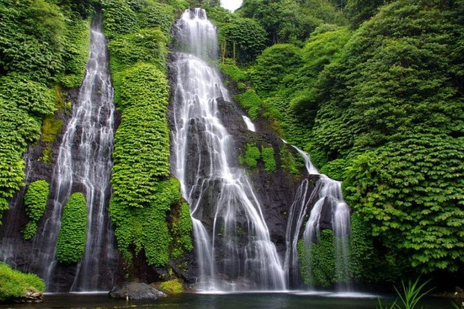 Banyumala Waterfall Tour - Why this northern Bali route works
