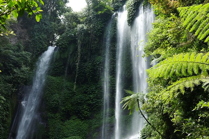 Banyuwana & Banyumala Waterfalls Tour Private - All-Inclusive - Why the waterfalls make this tour worth considering