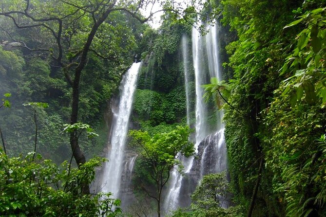 Banyuwana & Banyumala Waterfalls Tour Private - All-Inclusive - Private transport and the guide experience