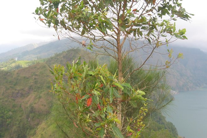 Batur Caldera Sunrise Trekking - What the guide adds to the morning