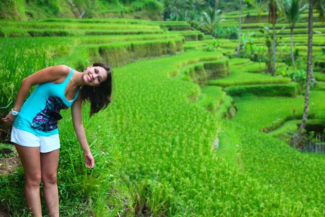 Beauty Of West Bali Tour (Private and All Inclusive) - A mountain day beyond Ubud
