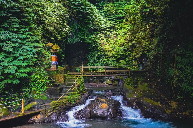 Bedugul and Singaraja Tour - The guide and vehicle can shape the whole day