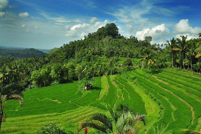 Besakih Temple Tour - Mother Temple in Bali - A private vehicle makes the route easier