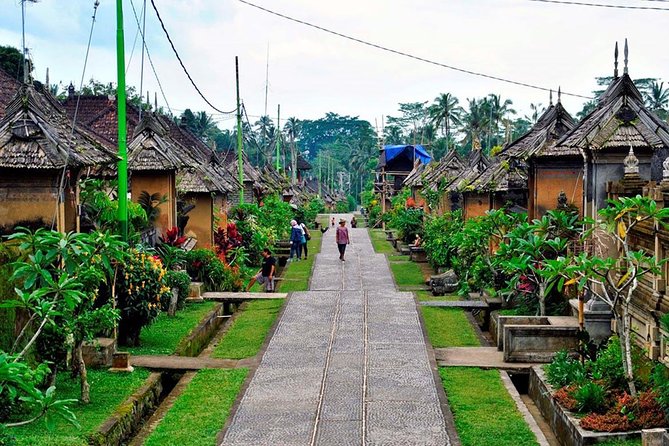 Besakih Temple Tour - Traditional Bali Village - All Inclusive - What the private guide changes