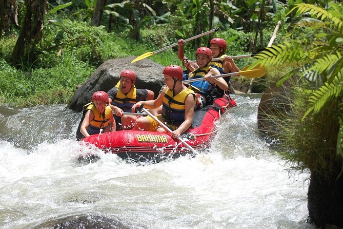 Best Bali Ayung River Rafting with Lunch - Two hours on the Ayung River