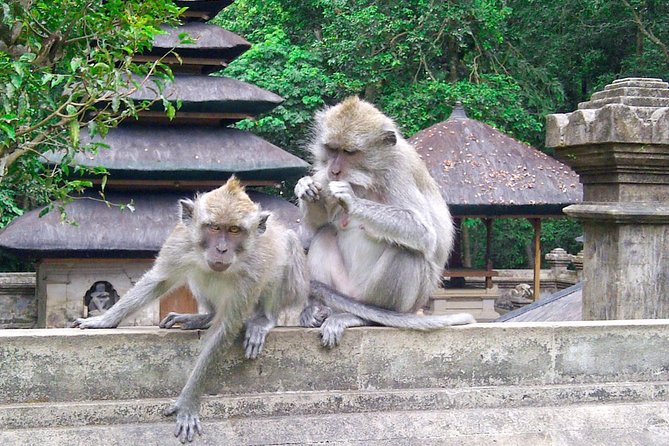 Best Bali Package Tour: 4 Days with Airport or Hotel Transfer - Day 2: Craft villages, Tirta Empul, and Ubud