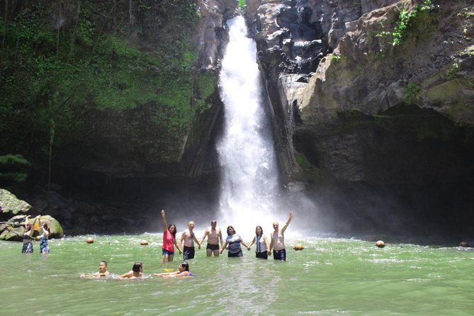 Best Bali Private Customize Tour - Tegalalang Rice Terrace and the Subak tradition