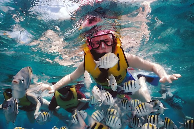 Best Bali Snorkeling at Blue Lagoon Beach: All-Inclusive - Lunch, showers, and the practical comforts