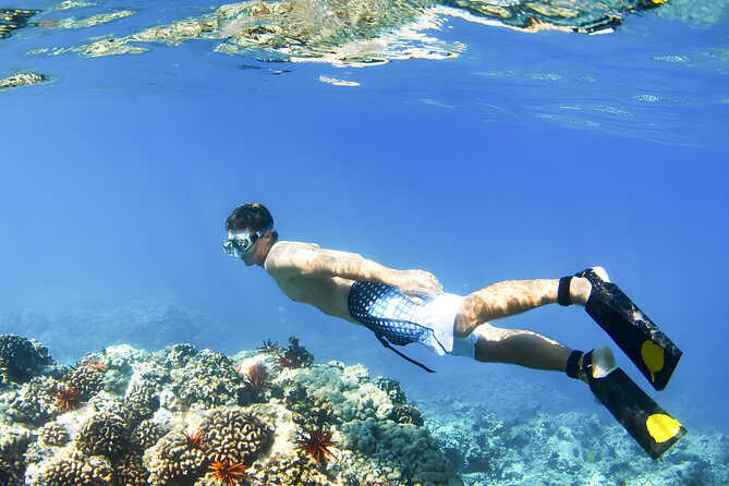 Best Bali Snorkeling at Blue Lagoon Beach: All-Inclusive - Booking timing and cancellation rules