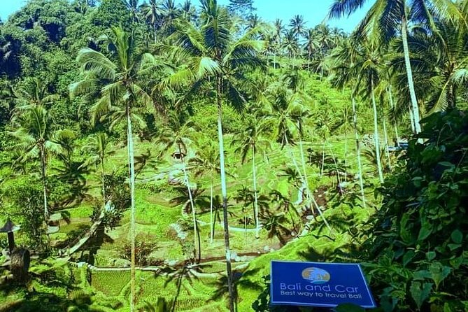 Best bali transport service - custom your own itinerary - The limits of a ten-hour Bali itinerary