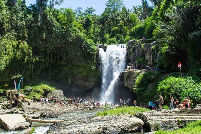 Best of Authentic Balinese Tour - Tegalalang Rice Terrace and the subak system