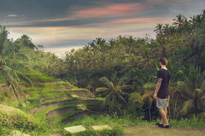 Best of Bali : Bali Temples , Rice Terrace and Waterfall Tour - Tegalalang Rice Terrace and the price of the view