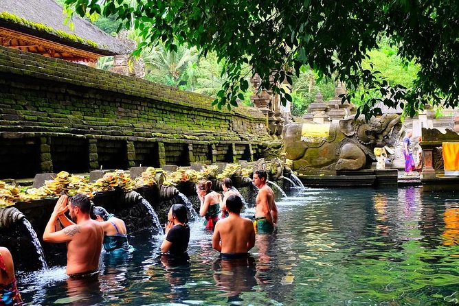 Best of Bali Jungle Swing with Ubud Sightseeing Tour - Lunch, transport, and the guide experience