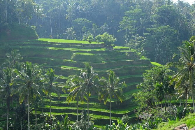 Best of Bali Private Shore Excursions - Gunung Kawi Sebatu and its sacred spring water