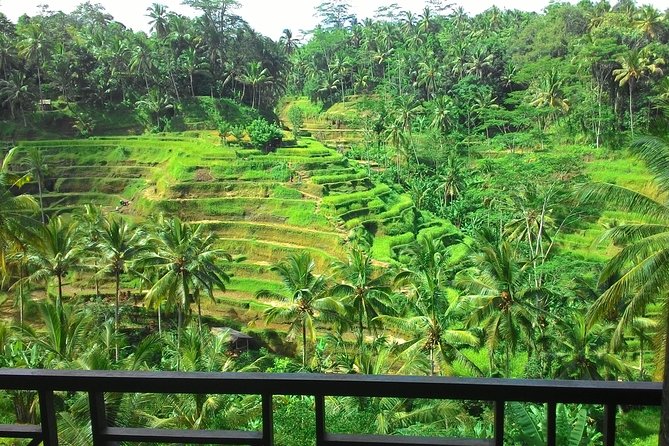 Best of Bali : Ubud, Rice terrace, Tanah lot temple with Lunch - Why this Bali day tour works well from Kuta