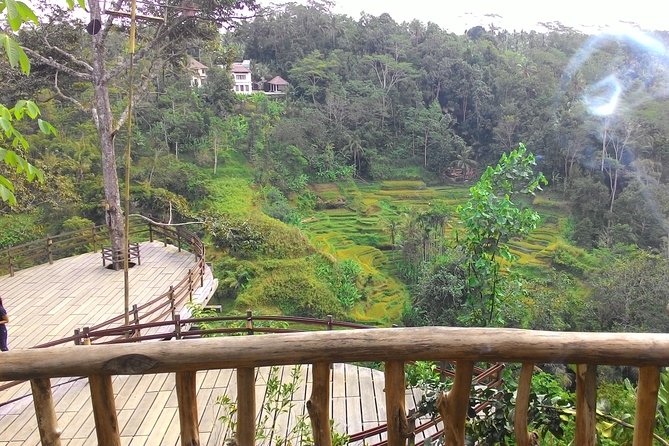 Best of Bali : Ubud, Rice terrace, Tanah lot temple with Lunch - Tegalalang Rice Terrace: a working farming scene