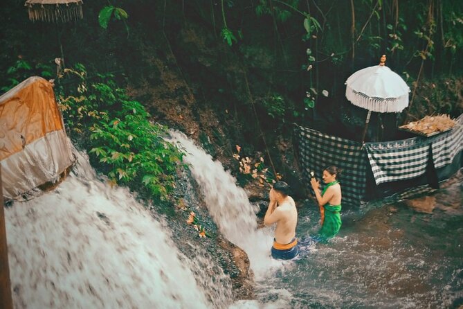Best of Bali Ubud Tour and Surrounding - What the private vehicle changes