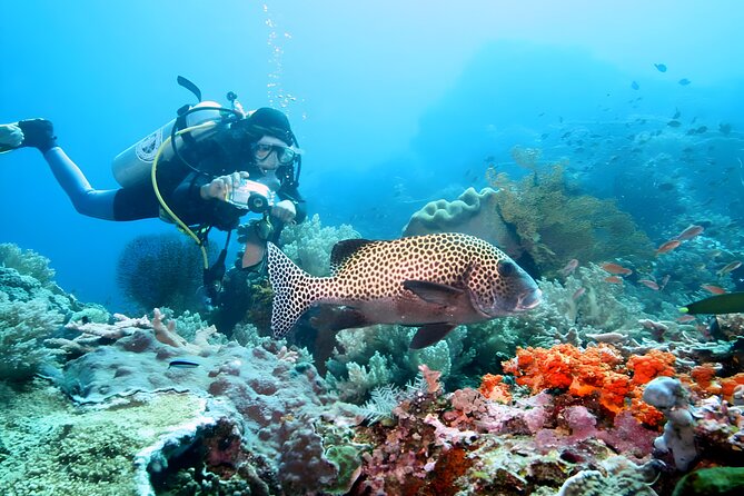Best of Bali Water Sport Jumbo Packages - Price and value at $70 per person