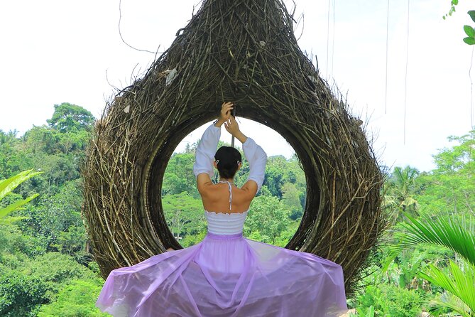 Best of Instagram Tour: Gate of Heaven, Tirta Gangga, Bali Swing - Tegalalang Rice Terrace in only 15 minutes