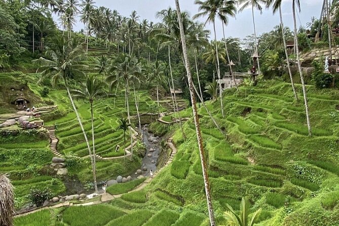 Best of Instagram Tour: Gate of Heaven, Tirta Gangga, Bali Swing - Is $100 a fair price?