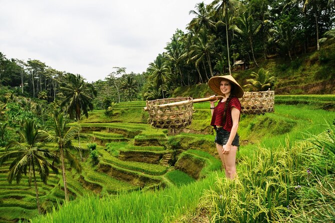 Best of Ubud 1-Day Private Tour - Why this Ubud day tour works